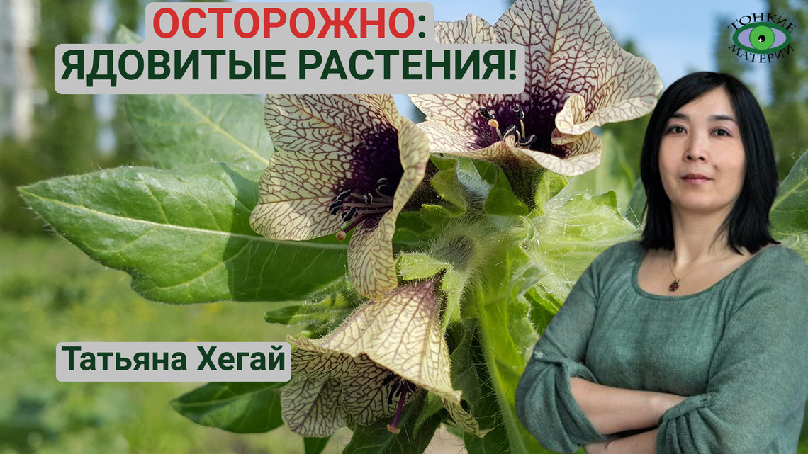 Осторожно: ядовитые растения!