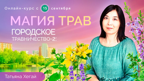 Магия трав. Городское травничество-2